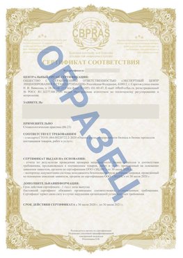 Образец Сертификат СТО 01.064.00220722.2-2020 Чебаркуль Сертификат СТО 01.064.00220722.2-2020 