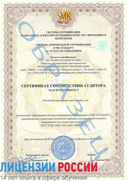 Образец сертификата соответствия аудитора №ST.RU.EXP.00006191-3 Чебаркуль Сертификат ISO 50001