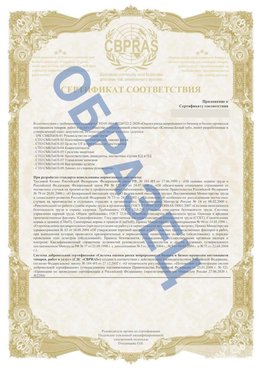Образец Приложение к СТО 01.064.00220722.2-2020 Чебаркуль Сертификат СТО 01.064.00220722.2-2020 
